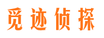 眉山市婚姻调查